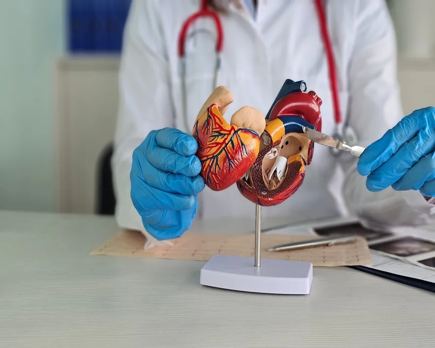 Kalp ve Damar Cerrahisi